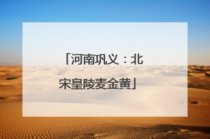 河南巩义：北宋皇陵麦金黄