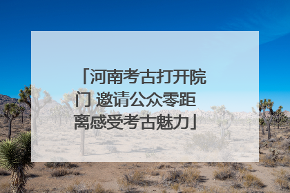 河南考古打开院门 邀请公众零距离感受考古魅力