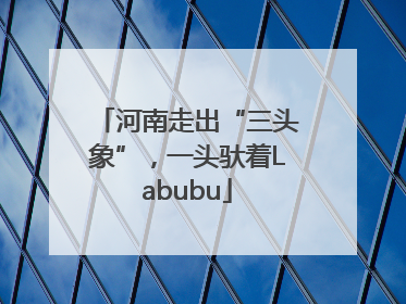 河南走出“三头象”，一头驮着Labubu