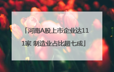 河南A股上市企业达111家 制造业占比超七成