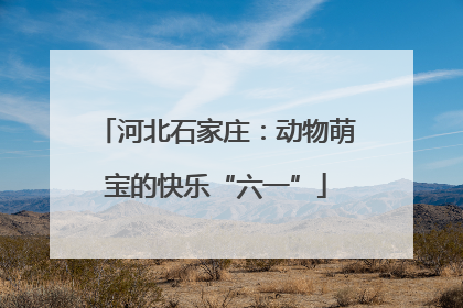 河北石家庄：动物萌宝的快乐“六一”