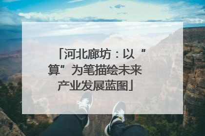 河北廊坊：以“算”为笔描绘未来产业发展蓝图