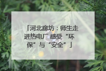 河北廊坊：师生走进热电厂 感受“环保”与“安全”