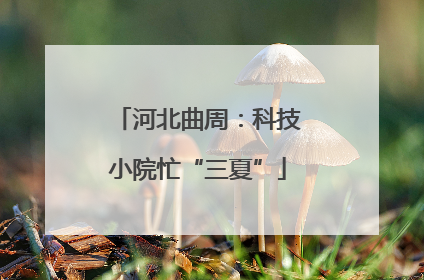 河北曲周：科技小院忙“三夏”