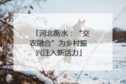 河北衡水：“交农融合”为乡村振兴注入新活力