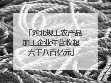 河北规上农产品加工企业年营收超六千八百亿元