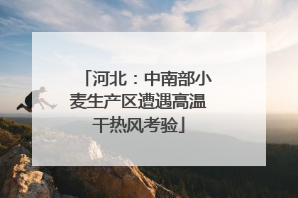 河北：中南部小麦生产区遭遇高温干热风考验