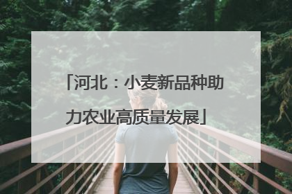 河北：小麦新品种助力农业高质量发展