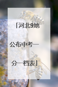 河北9地公布中考一分一档表