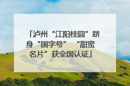 泸州“江阳桂圆”跻身“国字号” “甜蜜名片”获全国认证
