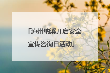 泸州纳溪开启安全宣传咨询日活动