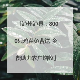 泸州泸县：8000只鸡苗免费送 乡贤助力农户增收