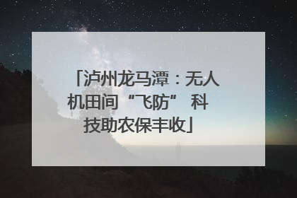 泸州龙马潭：无人机田间“飞防” 科技助农保丰收