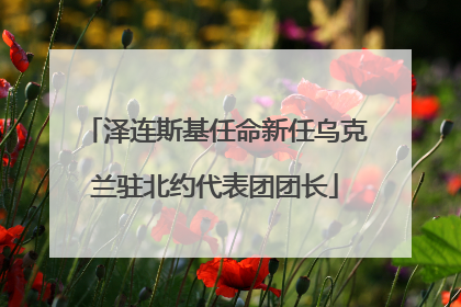 泽连斯基任命新任乌克兰驻北约代表团团长