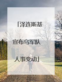 泽连斯基宣布乌军队人事变动