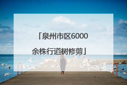 泉州市区6000余株行道树修剪