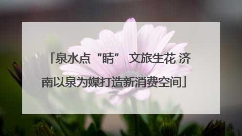 泉水点“睛” 文旅生花 济南以泉为媒打造新消费空间