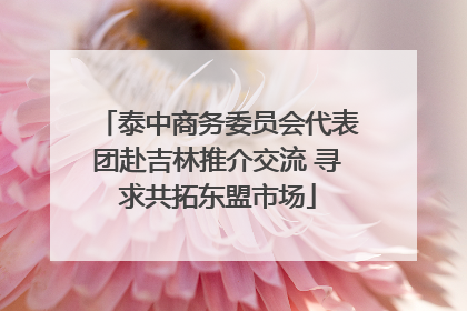 泰中商务委员会代表团赴吉林推介交流 寻求共拓东盟市场