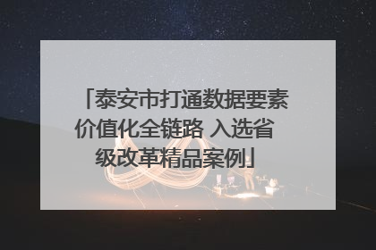 泰安市打通数据要素价值化全链路 入选省级改革精品案例