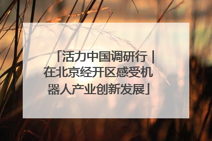 活力中国调研行｜在北京经开区感受机器人产业创新发展