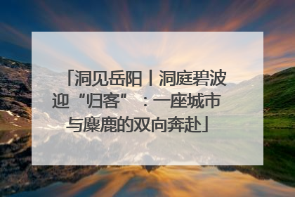 洞见岳阳丨洞庭碧波迎“归客”：一座城市与麋鹿的双向奔赴
