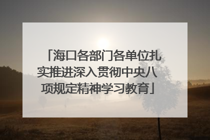 海口各部门各单位扎实推进深入贯彻中央八项规定精神学习教育