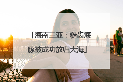 海南三亚：糙齿海豚被成功放归大海