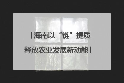 海南以“链”提质 释放农业发展新动能