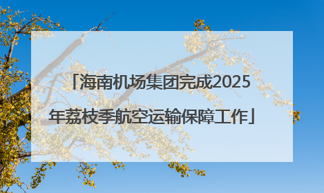 海南机场集团完成2025年荔枝季航空运输保障工作