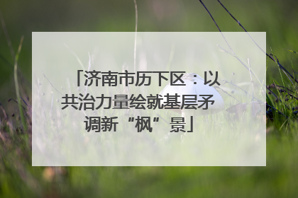 济南市历下区：以共治力量绘就基层矛调新“枫”景