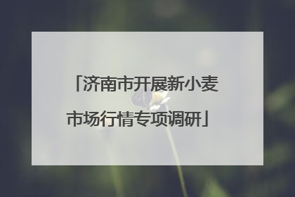 济南市开展新小麦市场行情专项调研