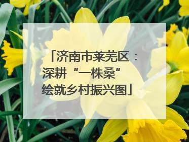 济南市莱芜区：深耕“一株桑” 绘就乡村振兴图