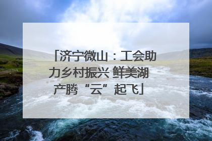 济宁微山：工会助力乡村振兴 鲜美湖产腾“云”起飞