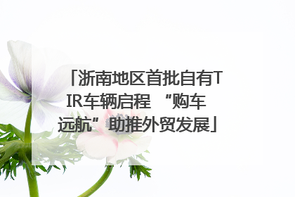 浙南地区首批自有TIR车辆启程 “购车远航”助推外贸发展