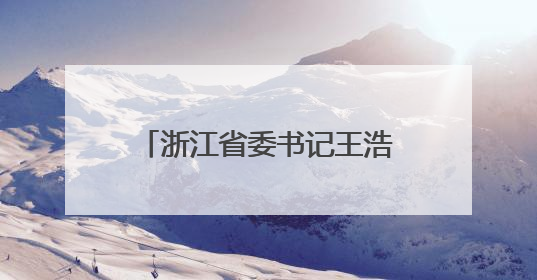 浙江省委书记王浩：对顶风违纪行为从严从重从快处理