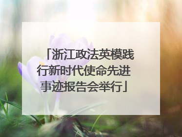 浙江政法英模践行新时代使命先进事迹报告会举行