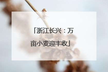 浙江长兴：万亩小麦迎丰收
