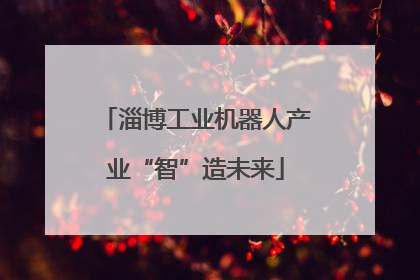 淄博工业机器人产业“智”造未来