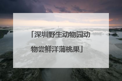 深圳野生动物园动物尝鲜洋蒲桃果
