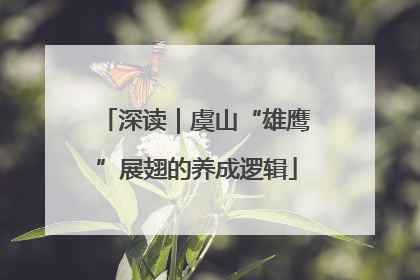 深读｜虞山“雄鹰”展翅的养成逻辑
