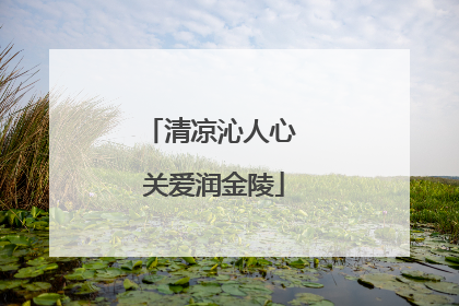 清凉沁人心 关爱润金陵