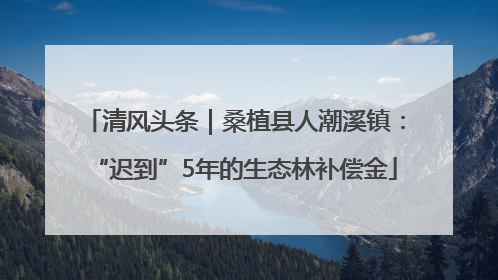 清风头条｜桑植县人潮溪镇：“迟到”5年的生态林补偿金