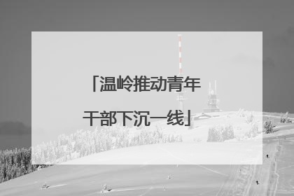 温岭推动青年干部下沉一线