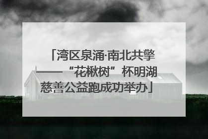 湾区泉涌·南北共擎——“花楸树”杯明湖慈善公益跑成功举办