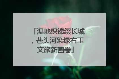 湿地织锦缀长城，苍头河染绿右玉文旅新画卷