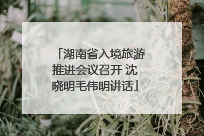 湖南省入境旅游推进会议召开 沈晓明毛伟明讲话