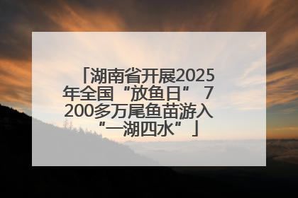 湖南省开展2025年全国“放鱼日” 7200多万尾鱼苗游入“一湖四水”