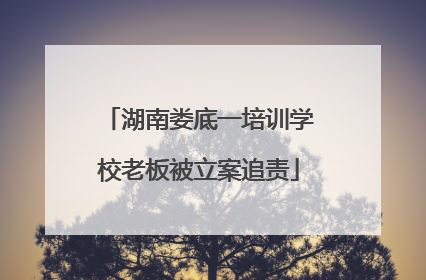 湖南娄底一培训学校老板被立案追责