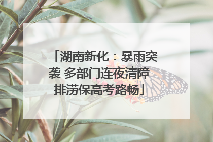 湖南新化：暴雨突袭 多部门连夜清障排涝保高考路畅