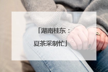 湖南桂东：夏茶采制忙